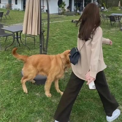 花与爱丽丝